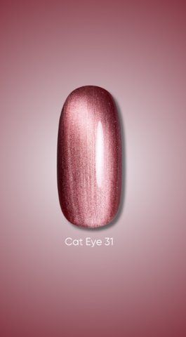 Гель лак Dark Cat Eye 31, 10ml 20249 фото